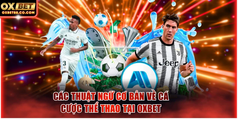 Các thuật ngữ cơ bản về cá cược thể thao tại OXBET