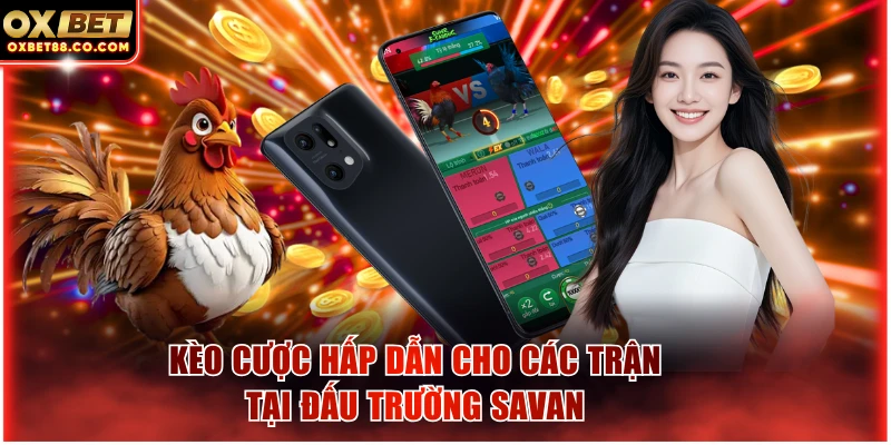 Kèo cược hấp dẫn cho các trận tại đấu trường Savan