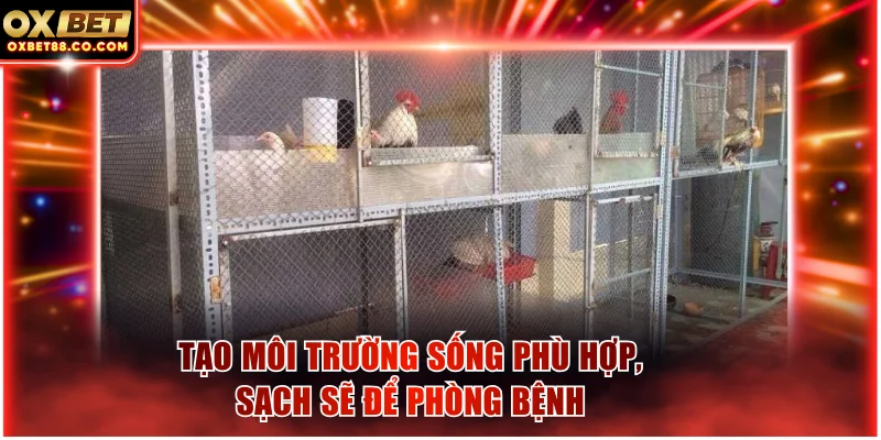 Tạo môi trường sống phù hợp, sạch sẽ để phòng bệnh