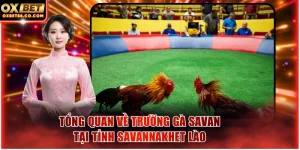 Tổng quan về trường gà Savan tại tỉnh Savannakhet Lào