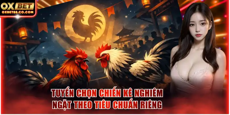 Tuyển chọn chiến kê nghiêm ngặt theo tiêu chuẩn riêng